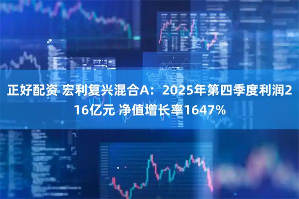 正好配资 宏利复兴混合A：2025年第四季度利润216亿元 净值增长率1647%